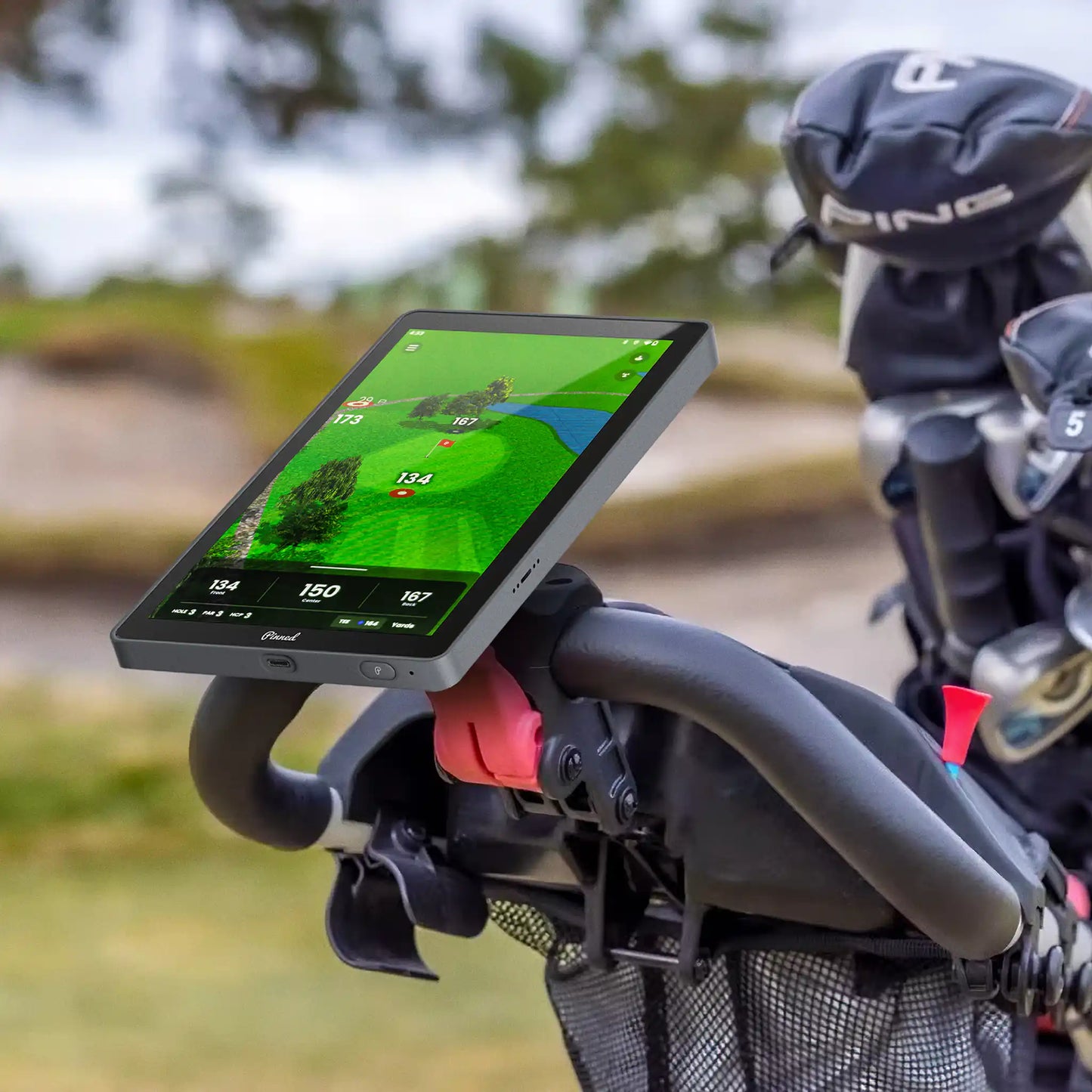 The Caddie